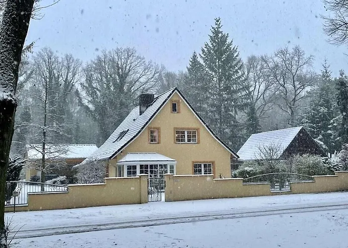 2 - Anett Pollok نيوروبين